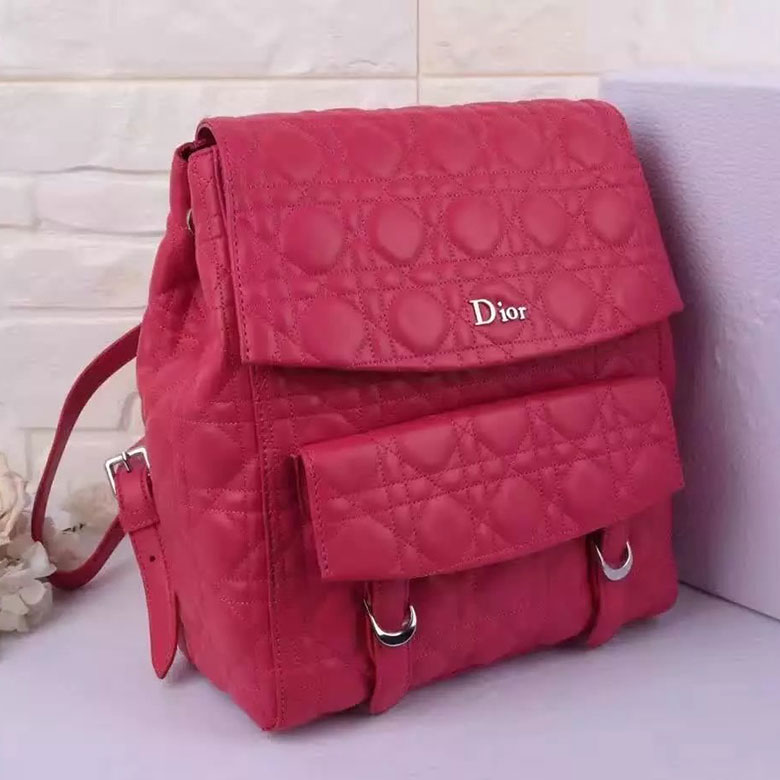 Dior STARDUST BACKPACK IN LAMBSKIN