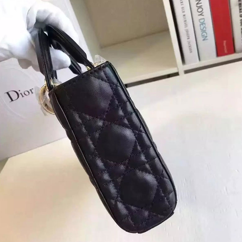 Dior WINTER 2016 FASHION SHOW RUNWAY BAG IN CANNAGE LAMBSKIN