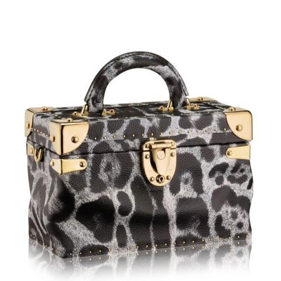 Louis Vuitton City Trunk PM Monogram Printed M53004