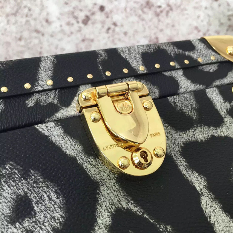 Louis Vuitton City Trunk PM Monogram Printed M53004