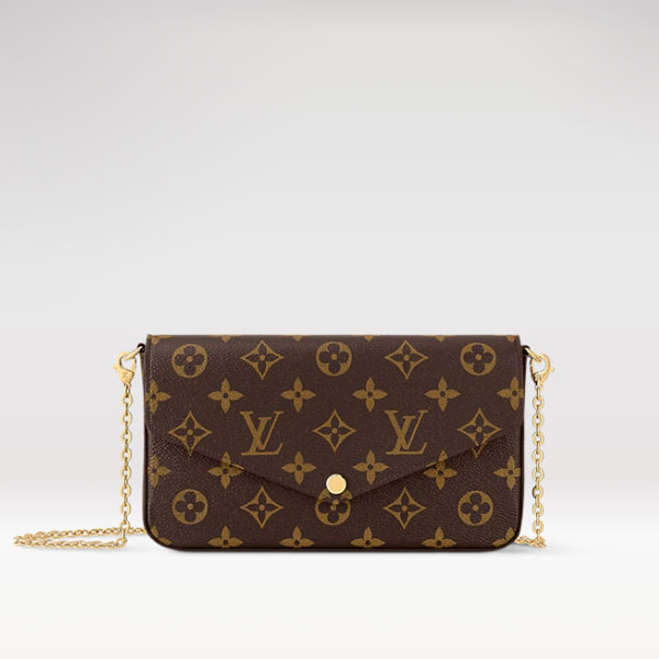 Louis vuitton Felicie Pochette