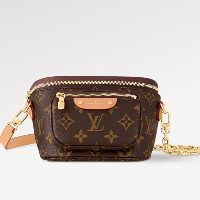 Louis vuitton Mini Bumbag