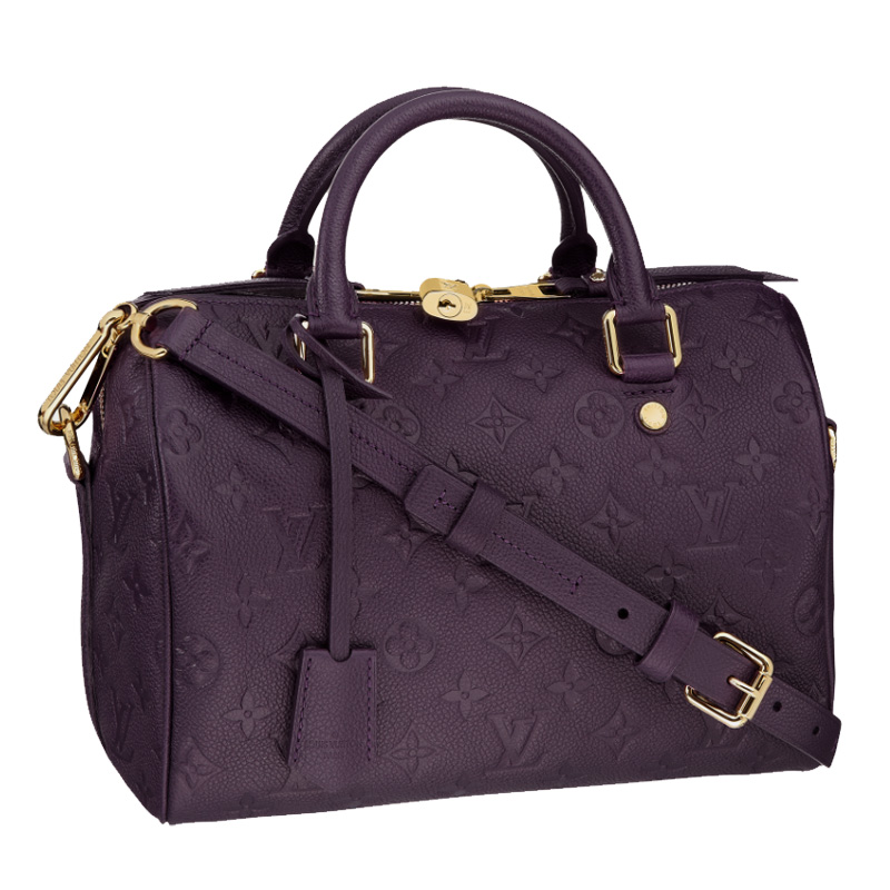 Louis vuitton SPEEDY BANDOULIERE 25 M40765