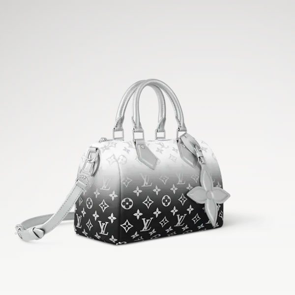 Louis vuitton Speedy Bandouliere 25