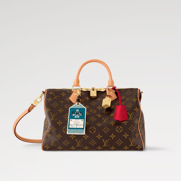 Louis vuitton Speedy Soft 30 Crafty