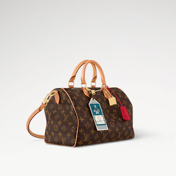 Louis vuitton Speedy Soft 30 Crafty