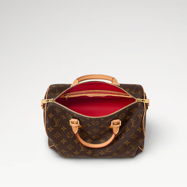 Louis vuitton Speedy Soft 30 Crafty