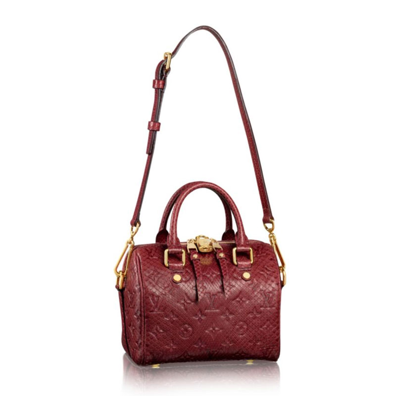 louis vuitton SPEEDY 20 N91375