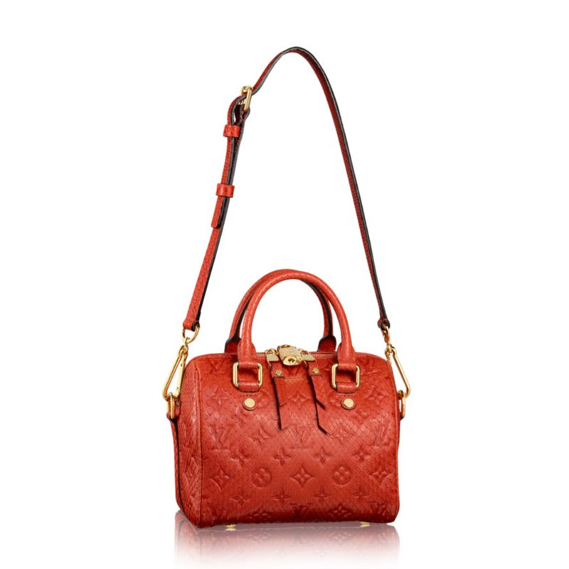 louis vuitton SPEEDY 20 N91441