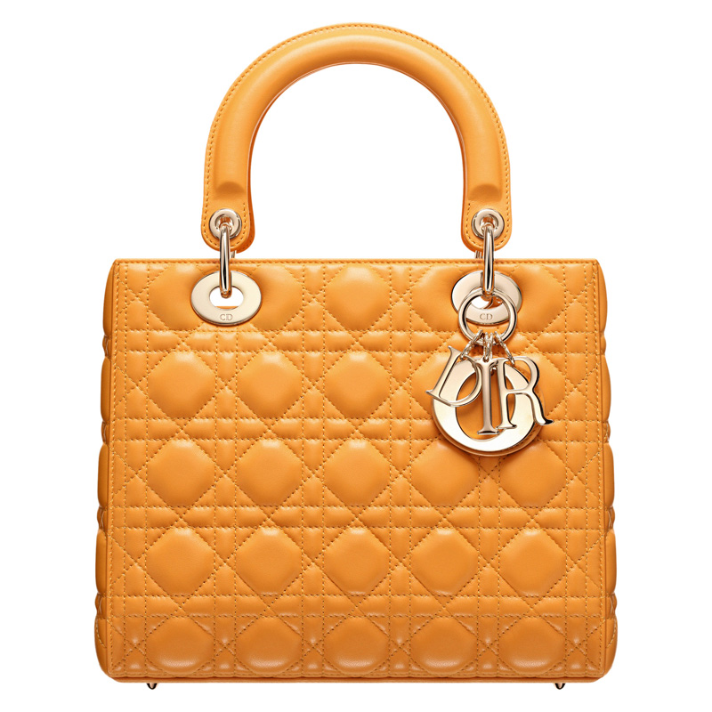 Amber 'Lady Dior' bag