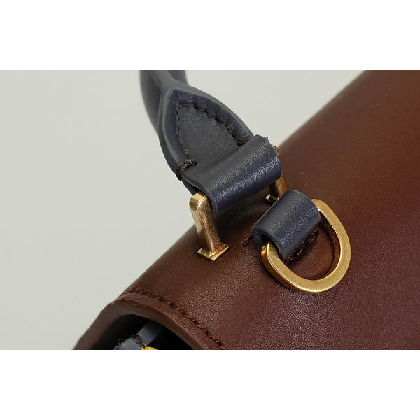 Celine Trapeze Bags Calfskin&Suede Brown&Blue&Apircot