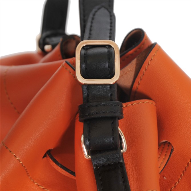 Celine Double Shoulder Bags 3385 Orange/Black