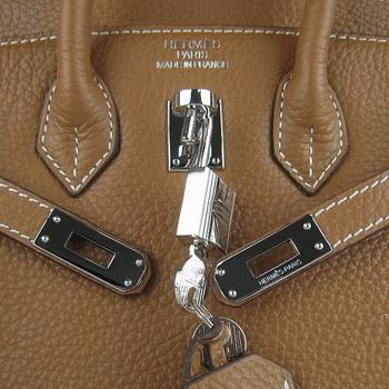 Birkin 25CM Light Coffee (Silver)